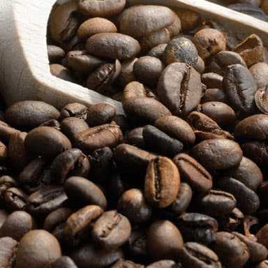 alle kaffeesorten online bestellbar